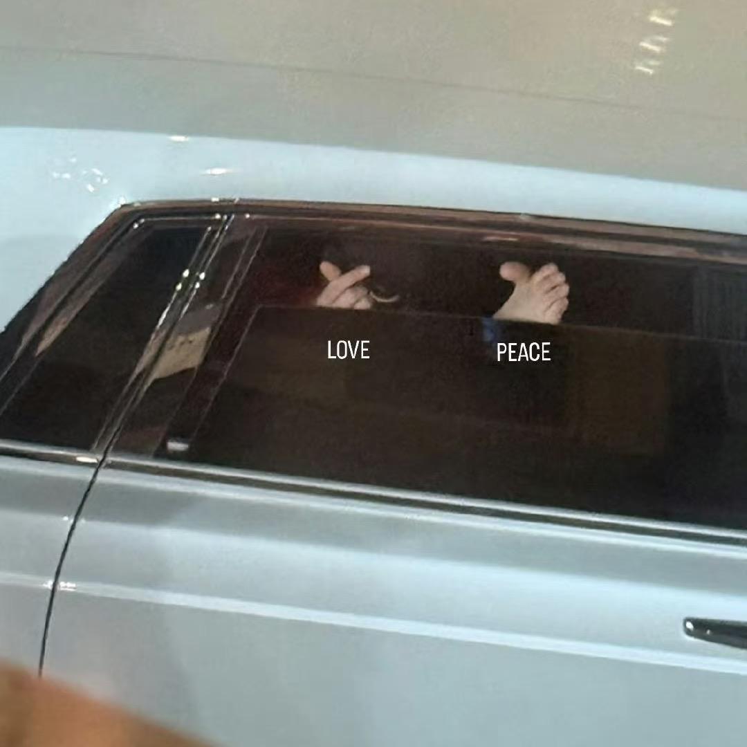 再胖会变成小猪