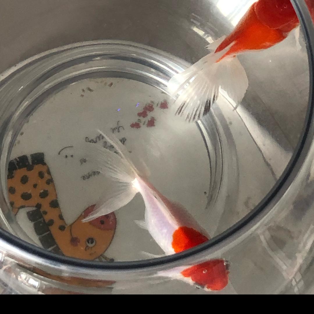 昆明抚清五金公司