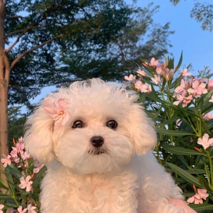 ❤️❤️❤️