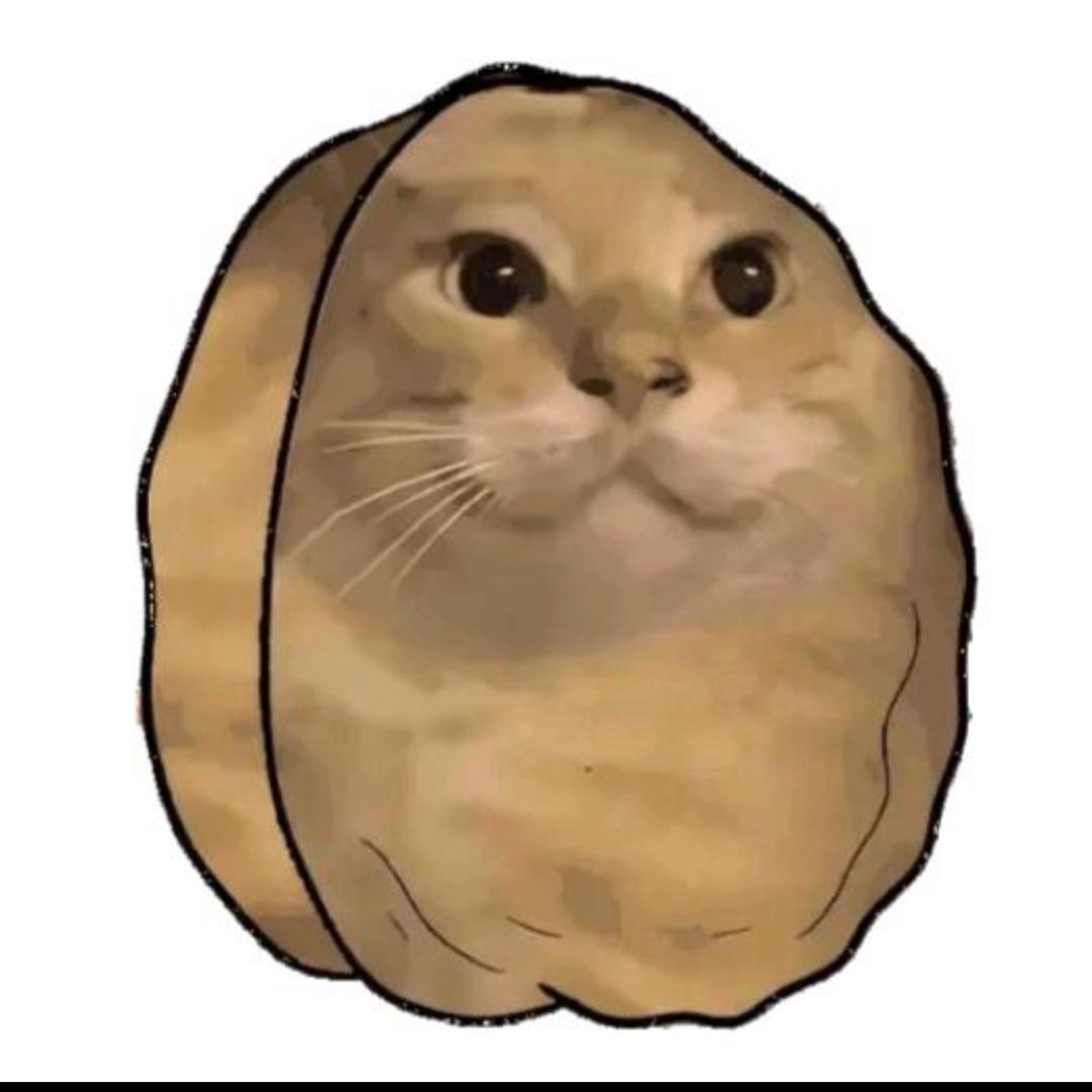 南辰^              🪳