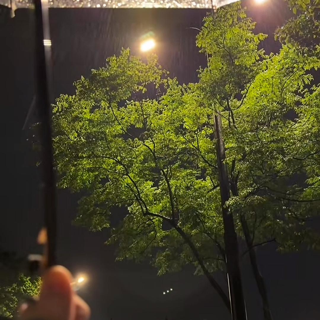 来人间凑个数z