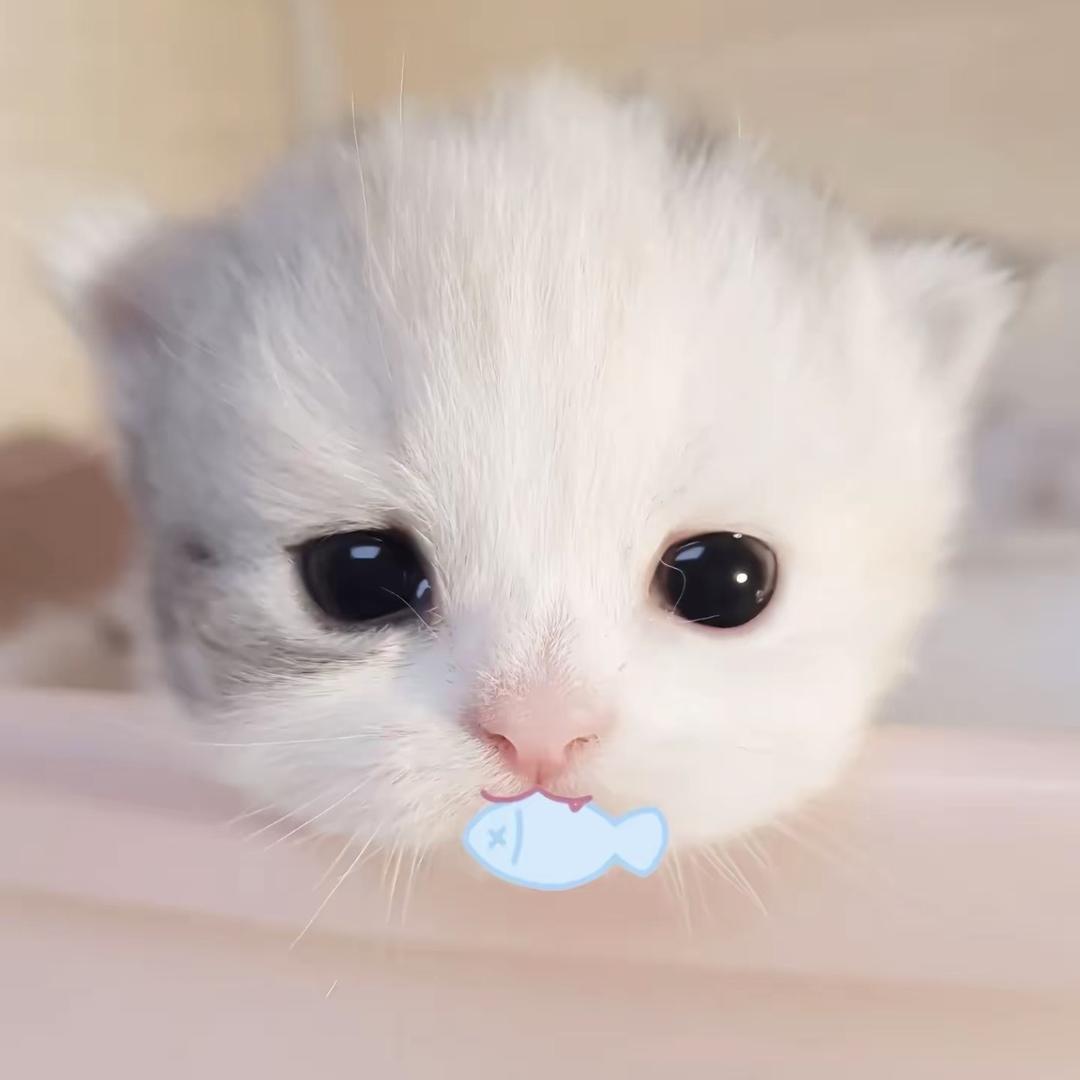 乞丐大王
