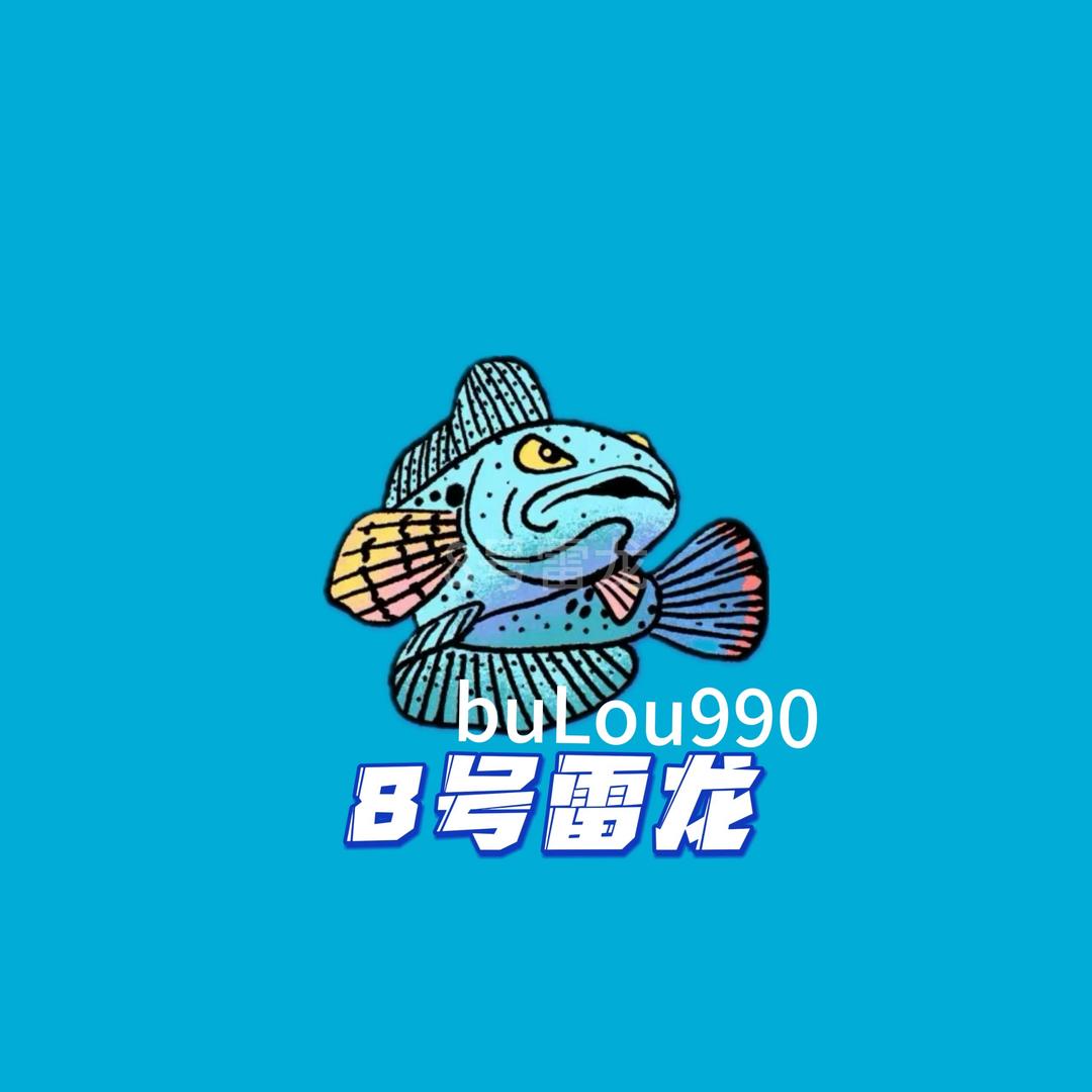 8号雷龙