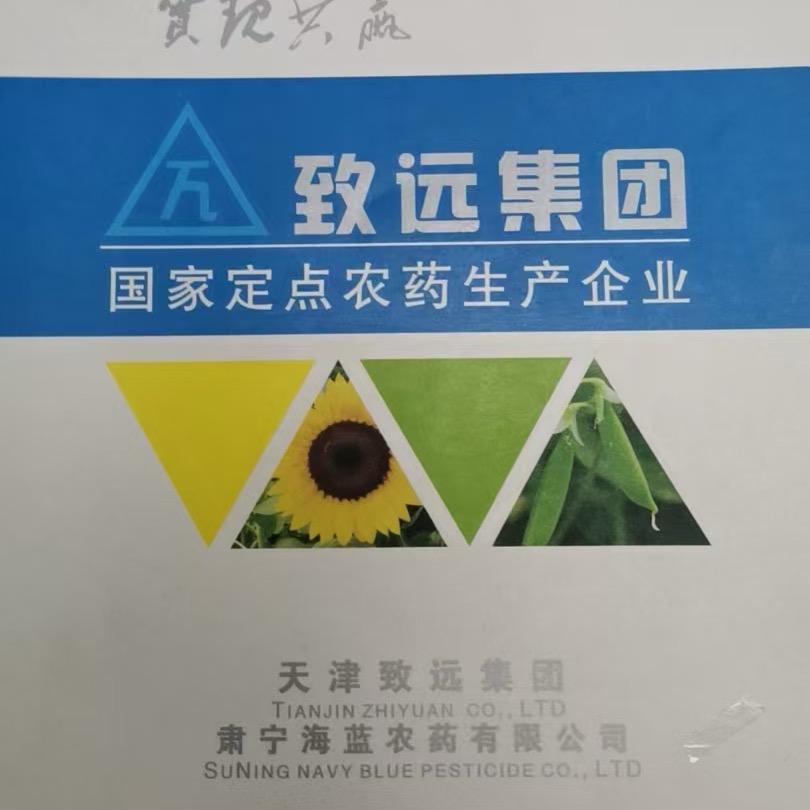 海蓝药厂