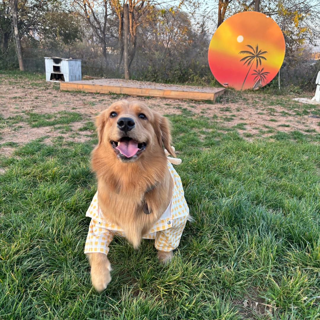 ￴ ￴ㅤㅤㅤㅤㅤ