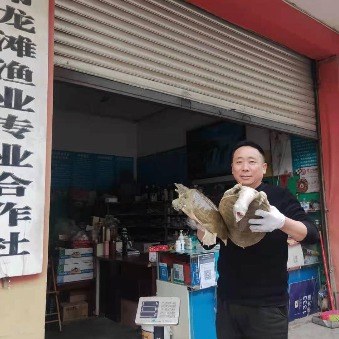 未来生活    强哥