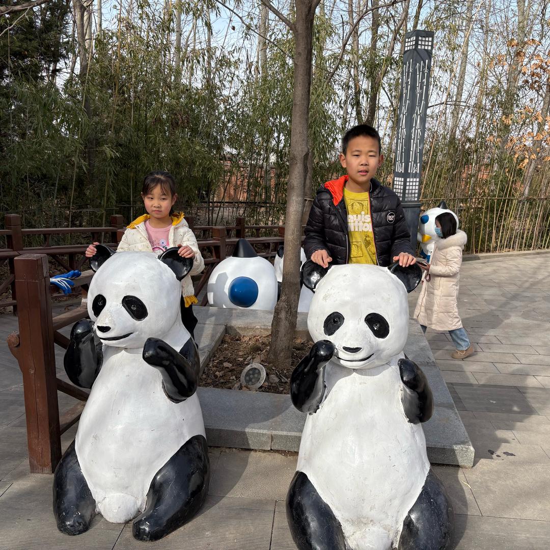 龙门轩老师
