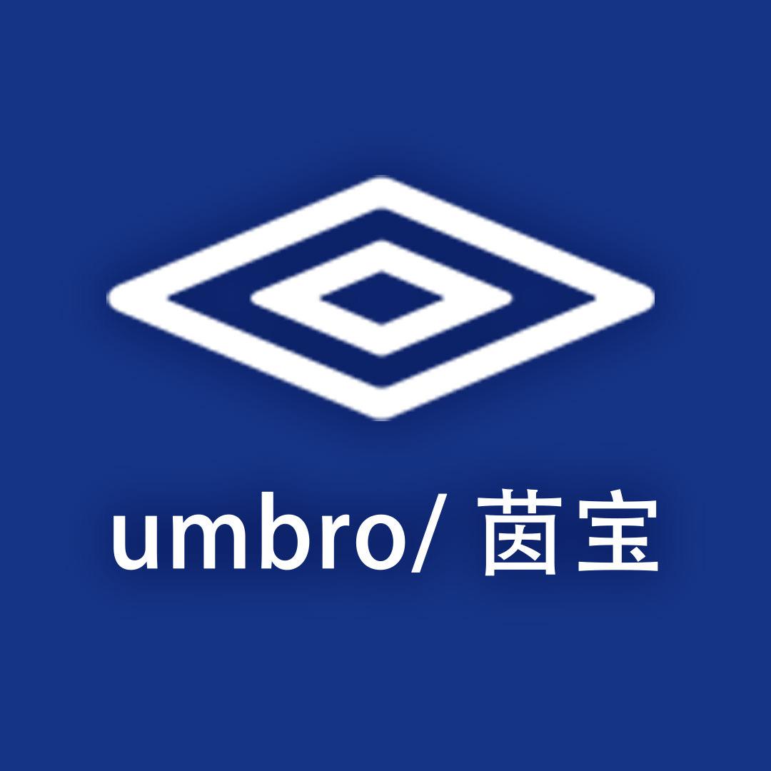 茵宝日本轴传动自行车