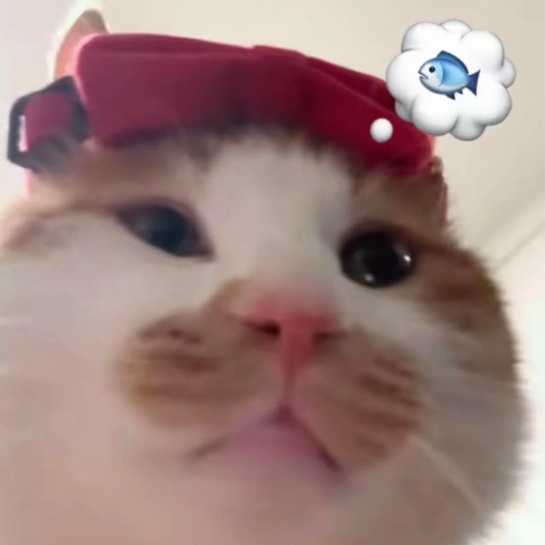 重庆最牛屁的婆娘（直播版）