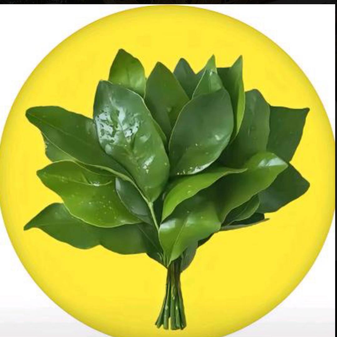 大芳姐 好物分享