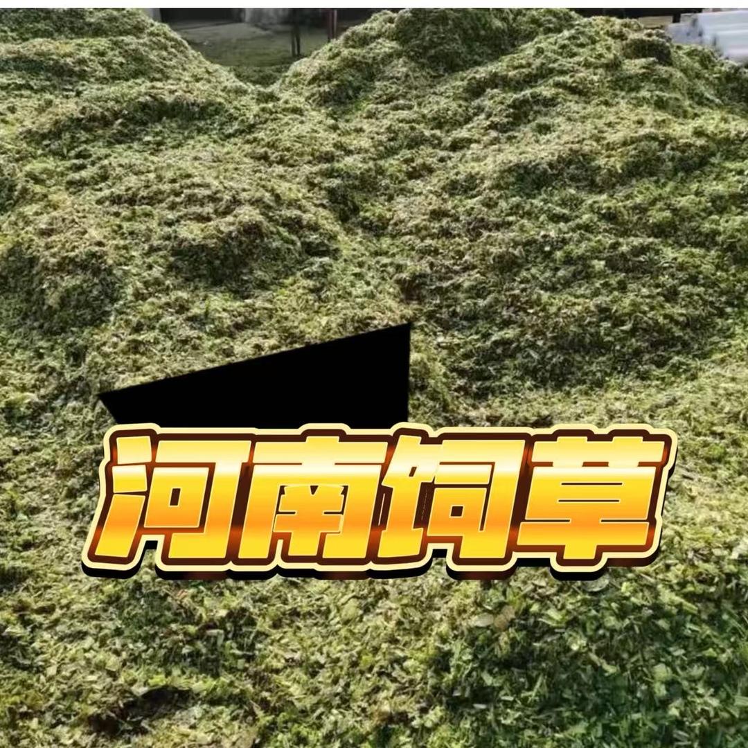 河南饲草