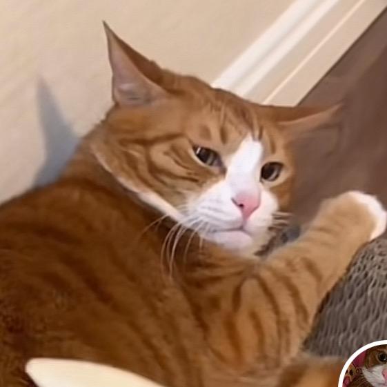 谁的奋斗不带伤