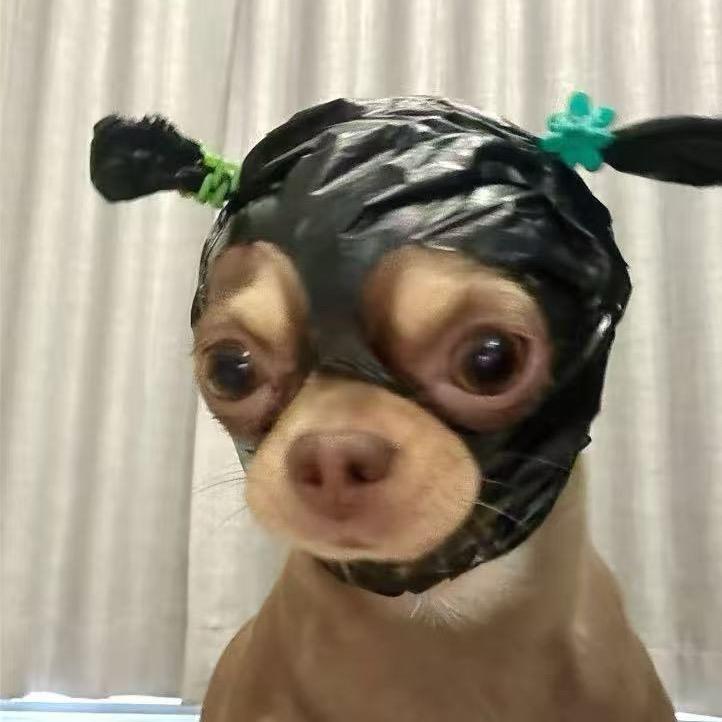 风铃🎐