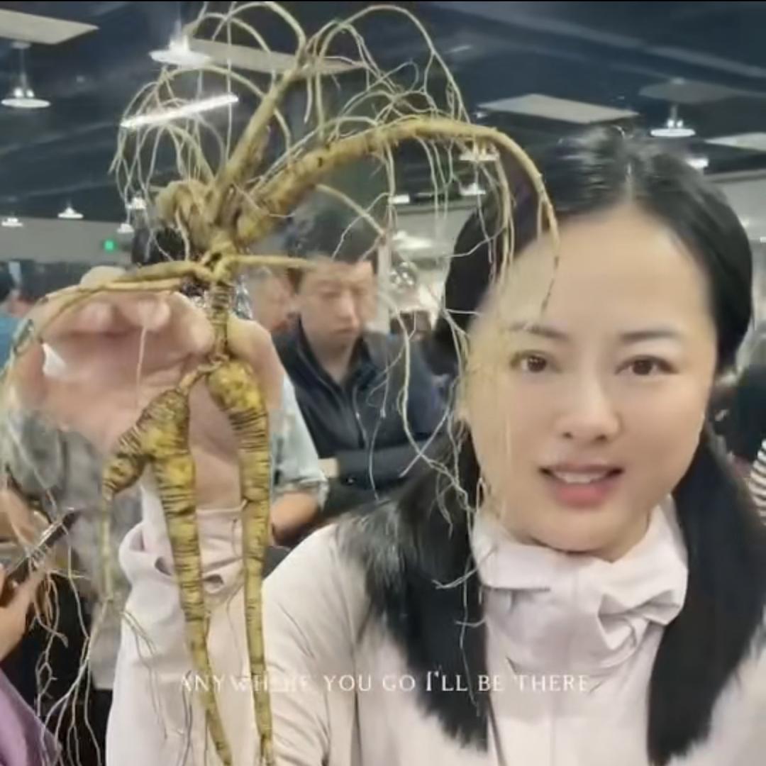 边境又又