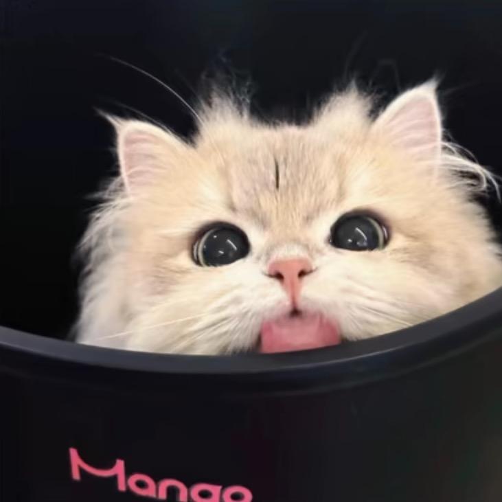 柚子^