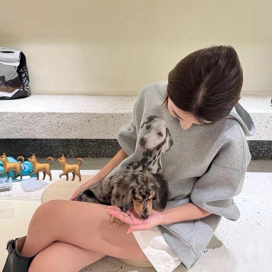 静静Miki（努力版）