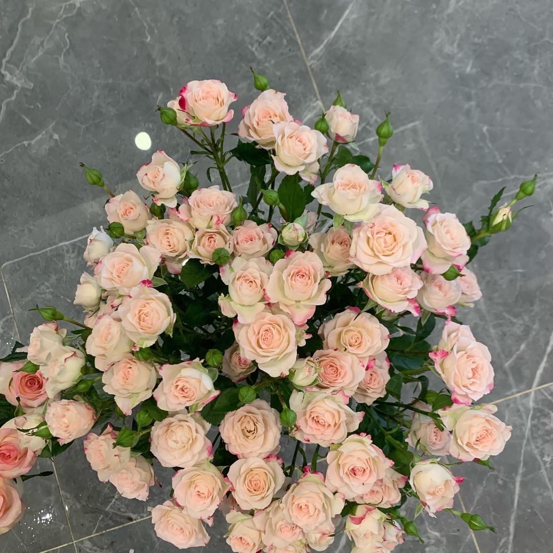 亿家房产租售负责人@芳芳