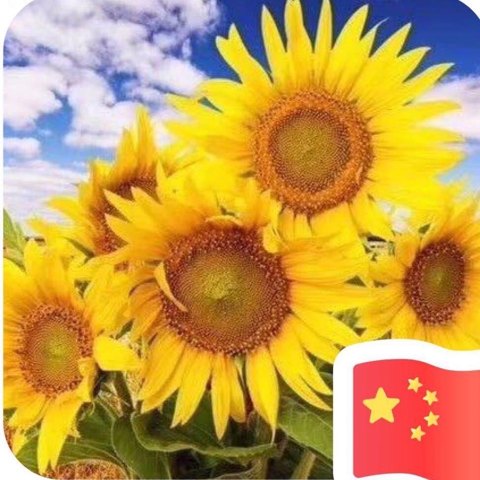 广源红