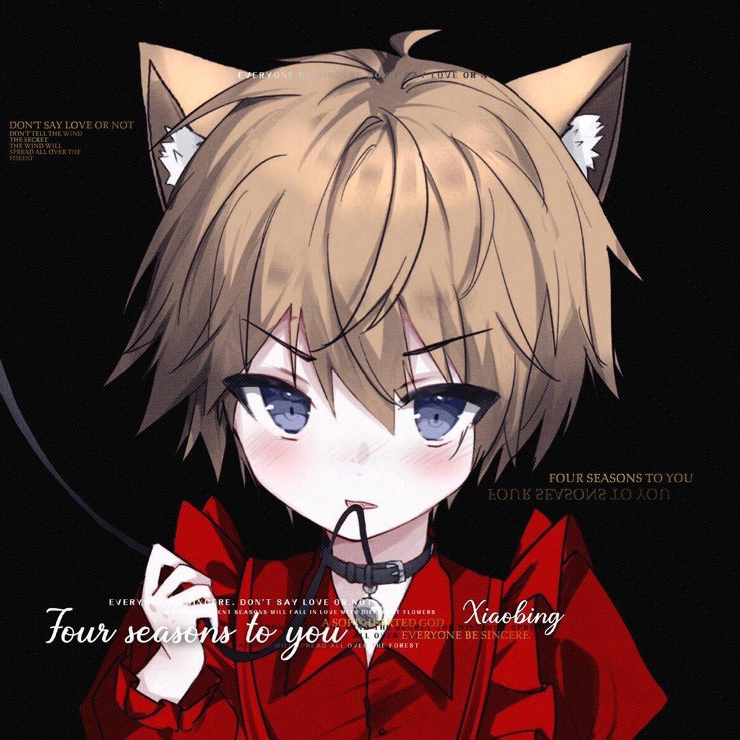 冰酱（苏尔南魔怔版）