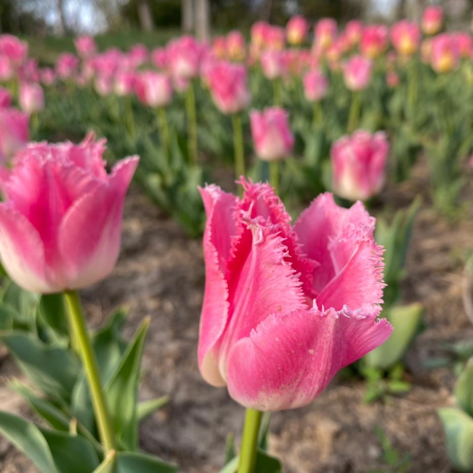 给自己一个微笑