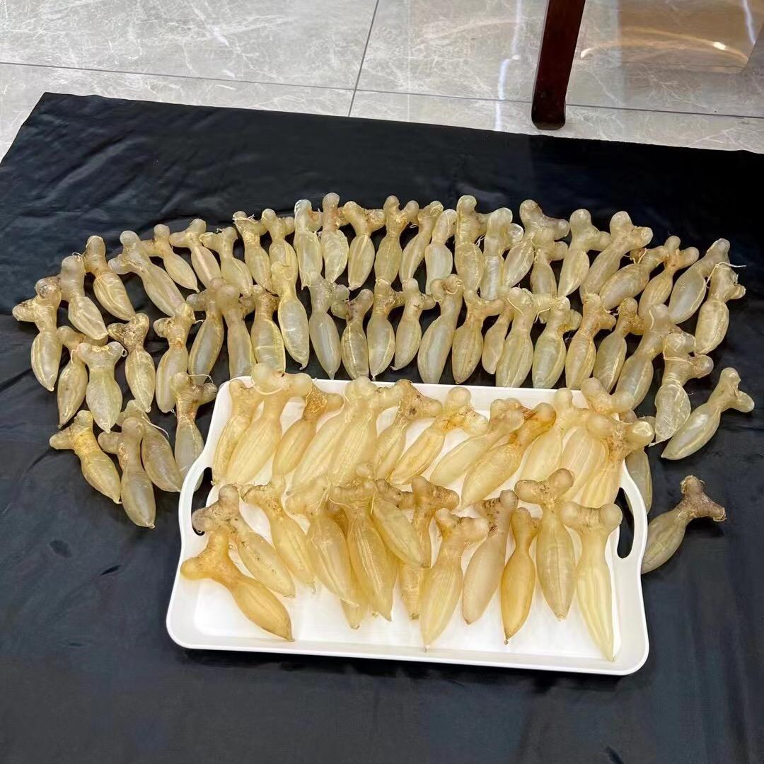 金汇滋补行