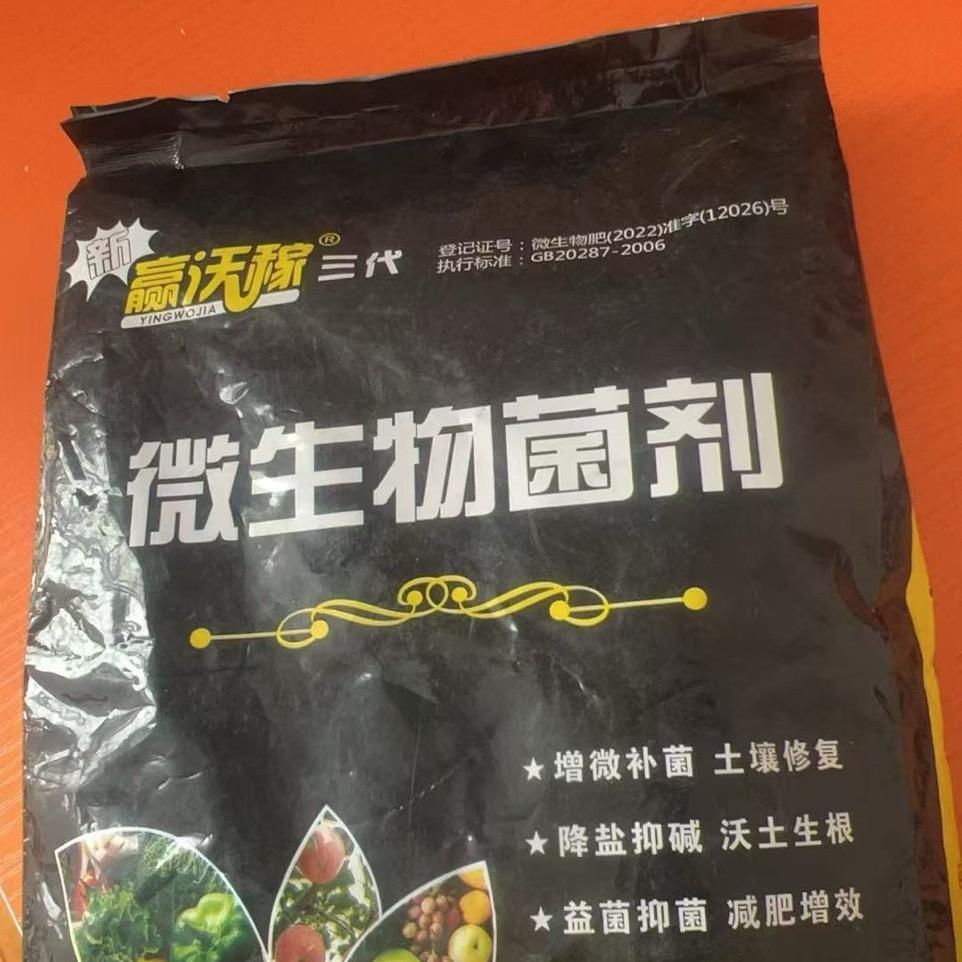 静