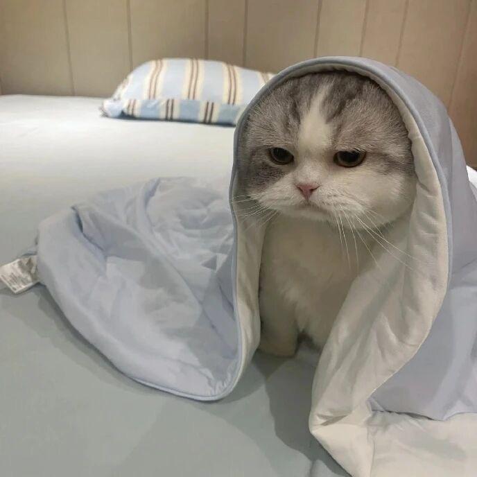 极乐