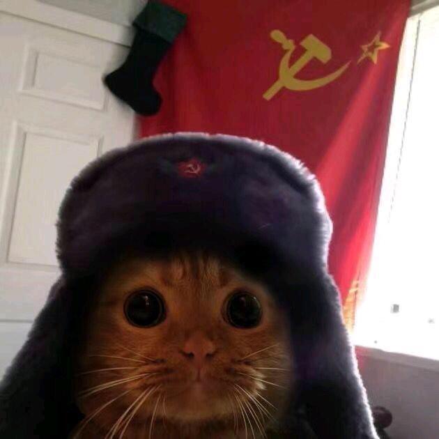 RC搬运工