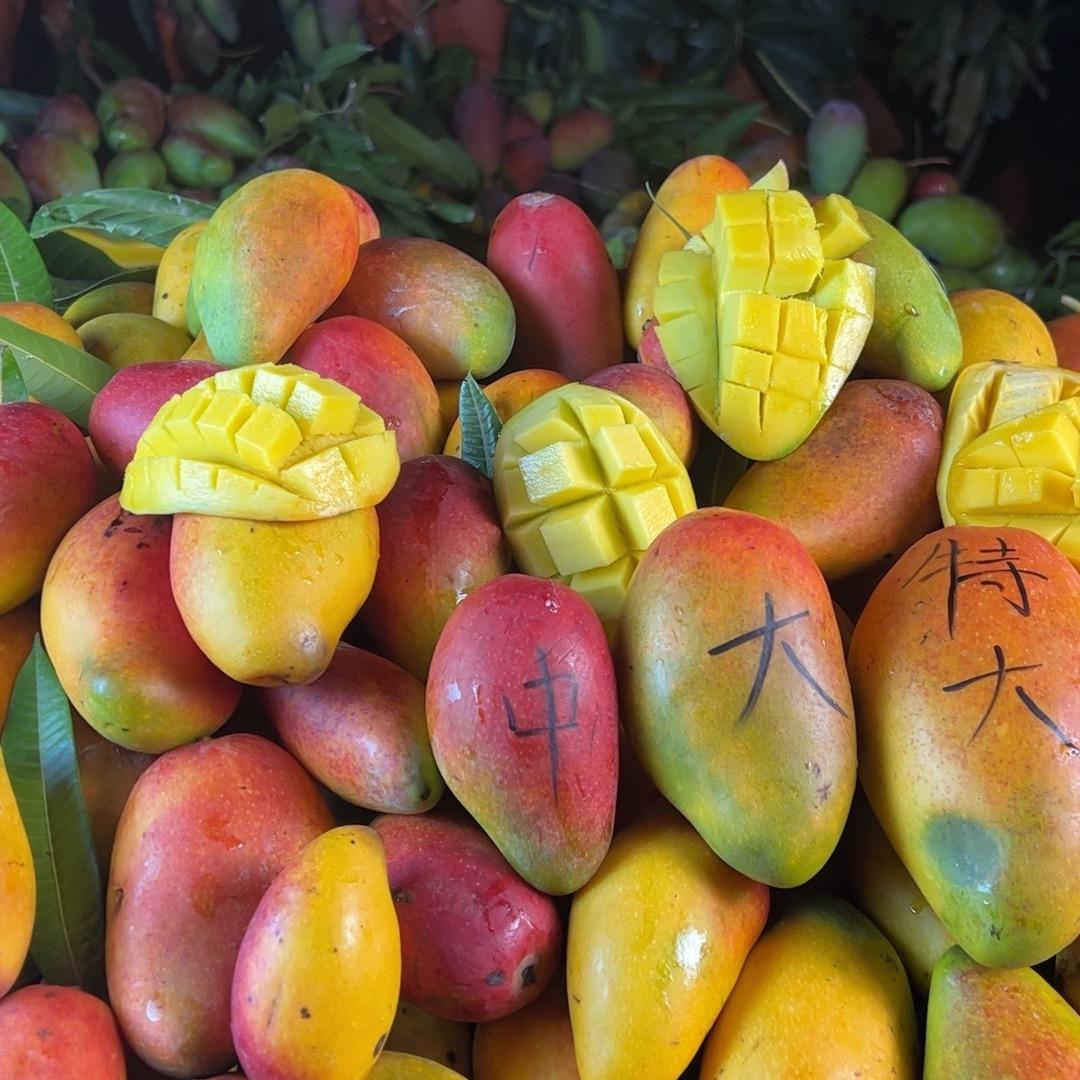 美好生活高端水果