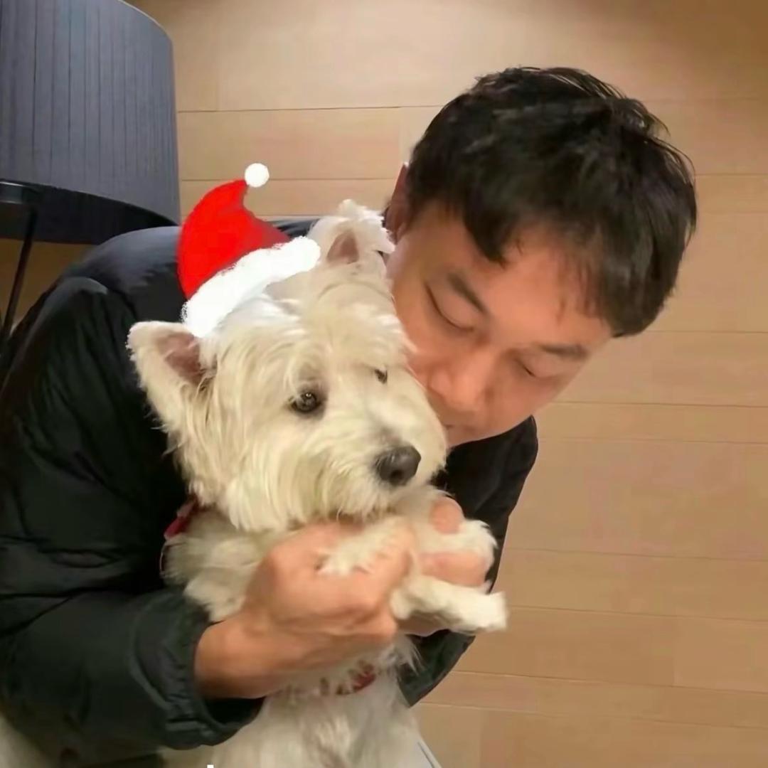 某位普通用户