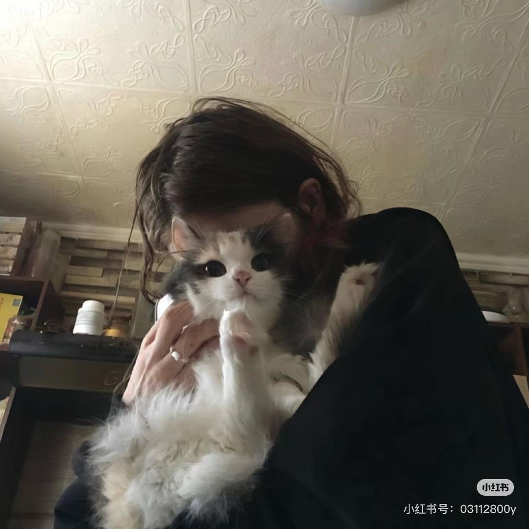哦吼吼～