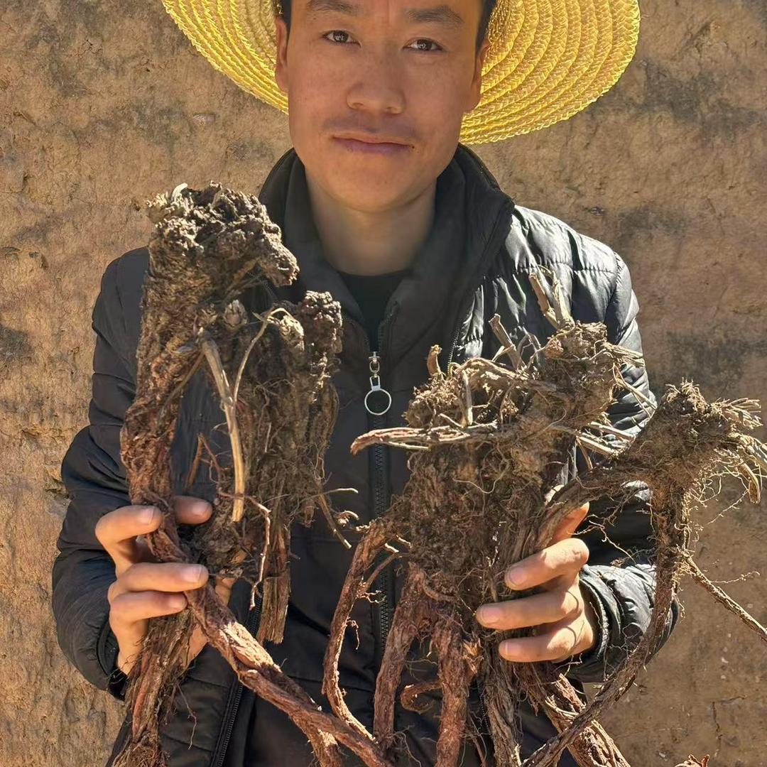 甘肃小余山货（小号直播）