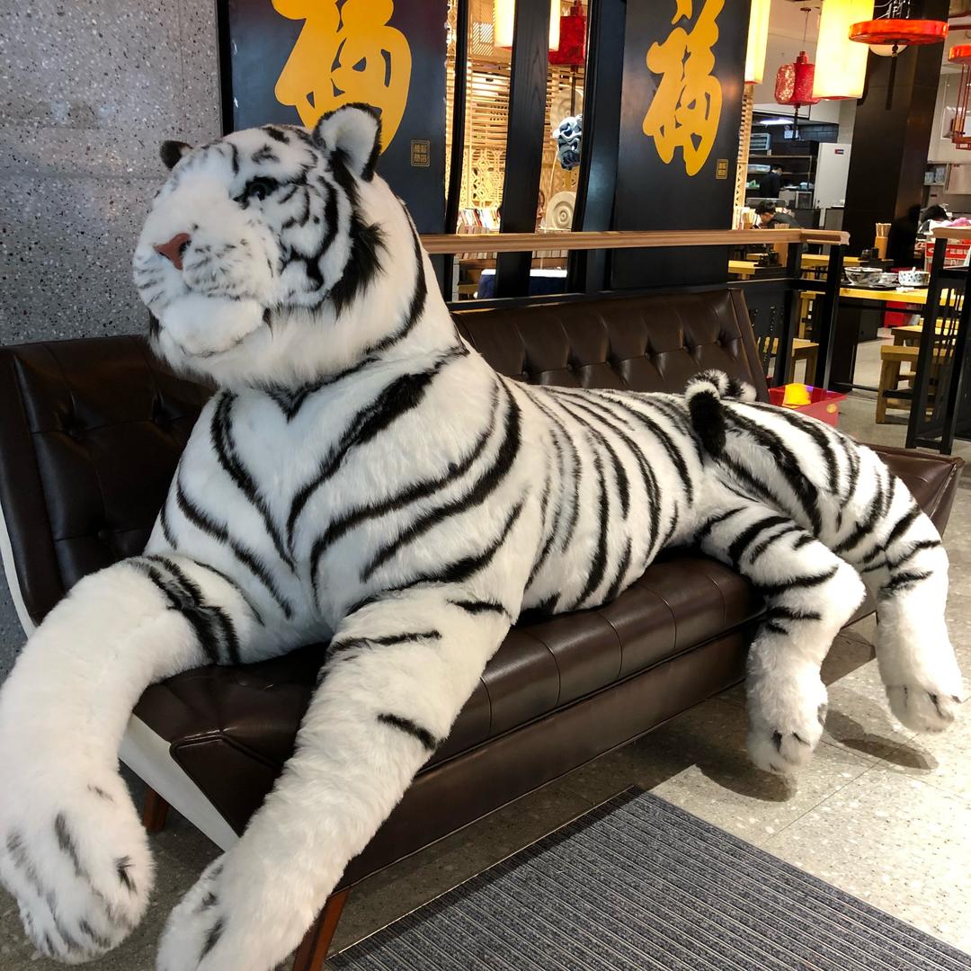 🐯1986