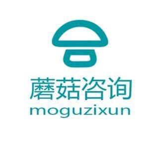 湖南蘑菇建设工程咨询有限公司