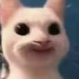 里脊✌️