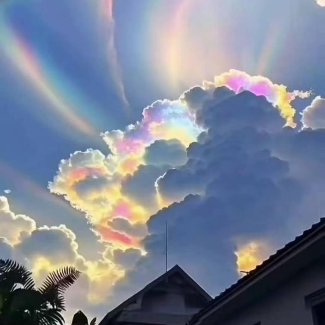 海与水牛的故事