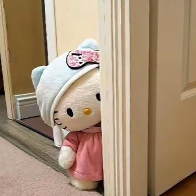 呆呆