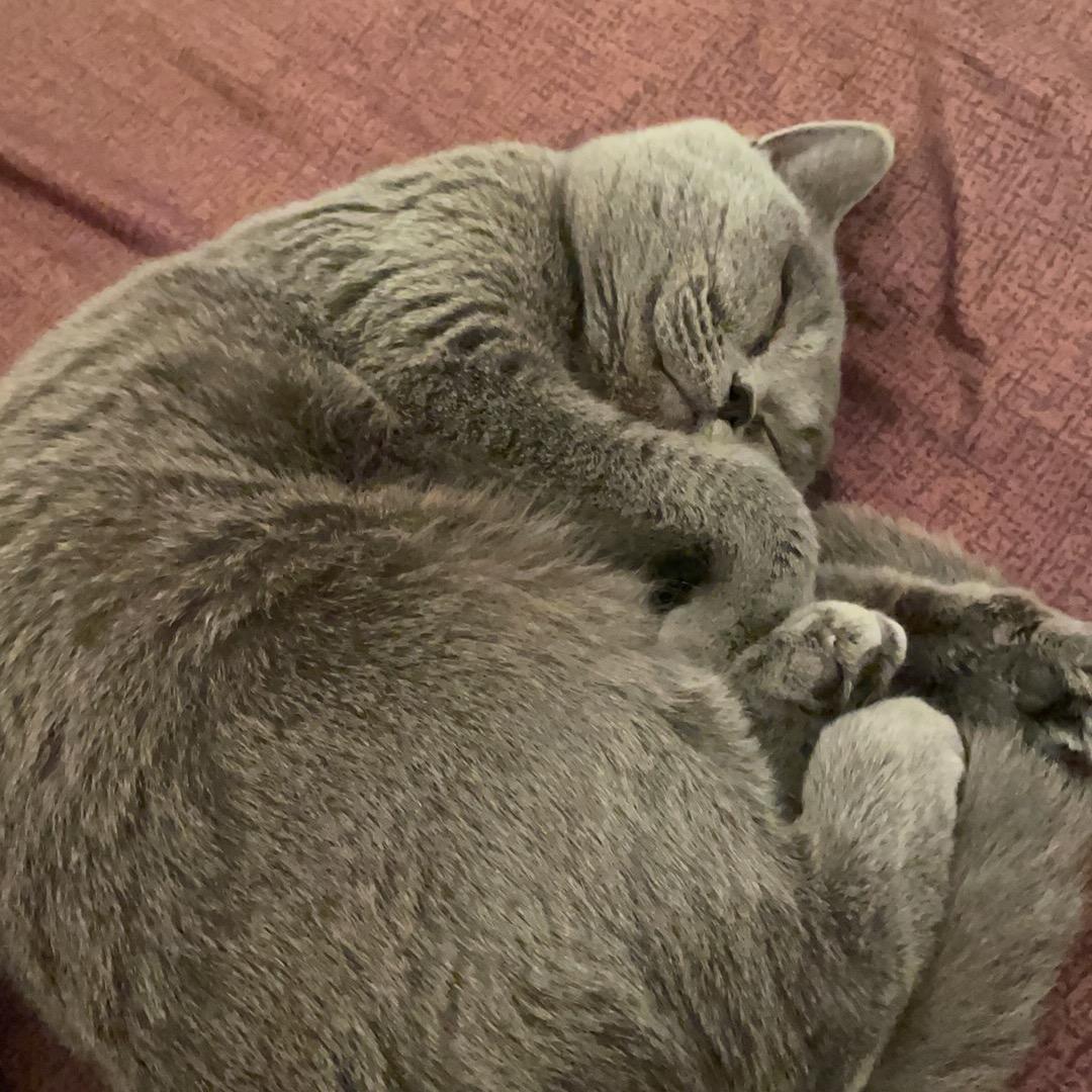 虔诚