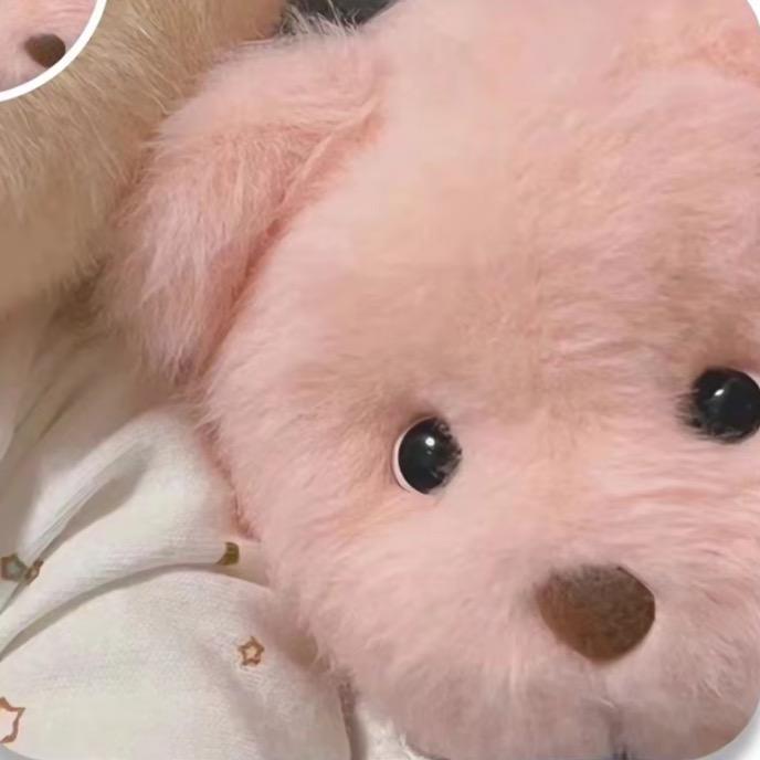 醇宽食品醇宽zbvhu直播号