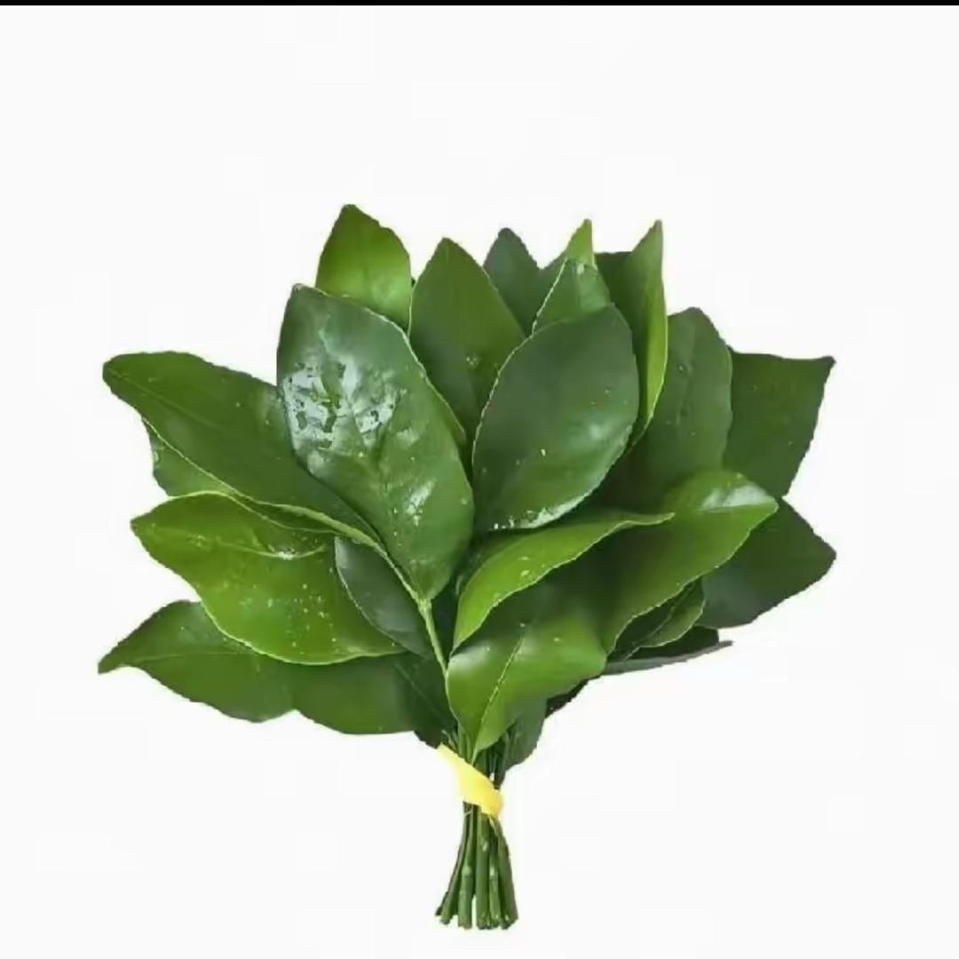 王想正💮