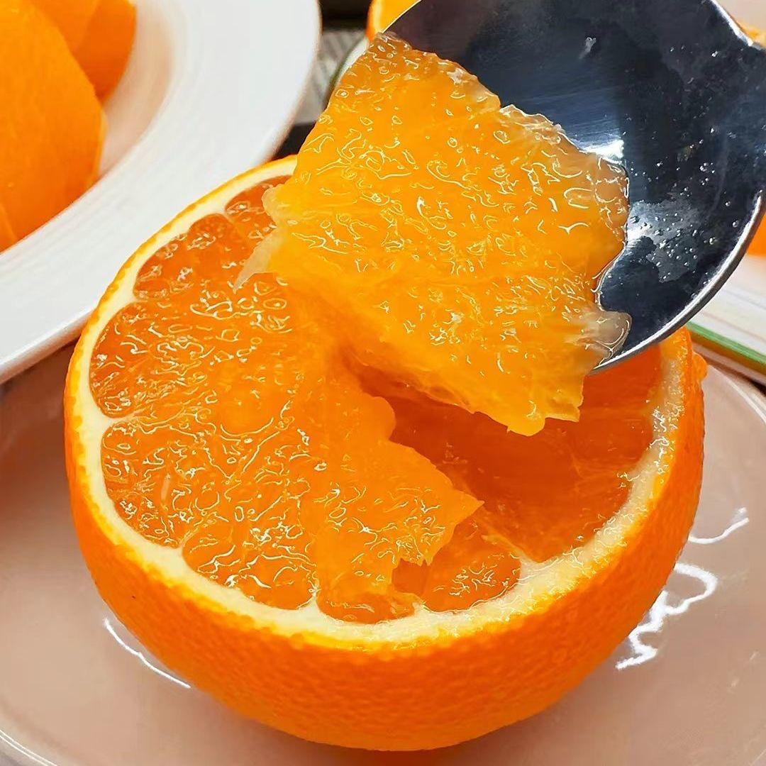 四川眉山·新四村🍊爱媛果冻橙
