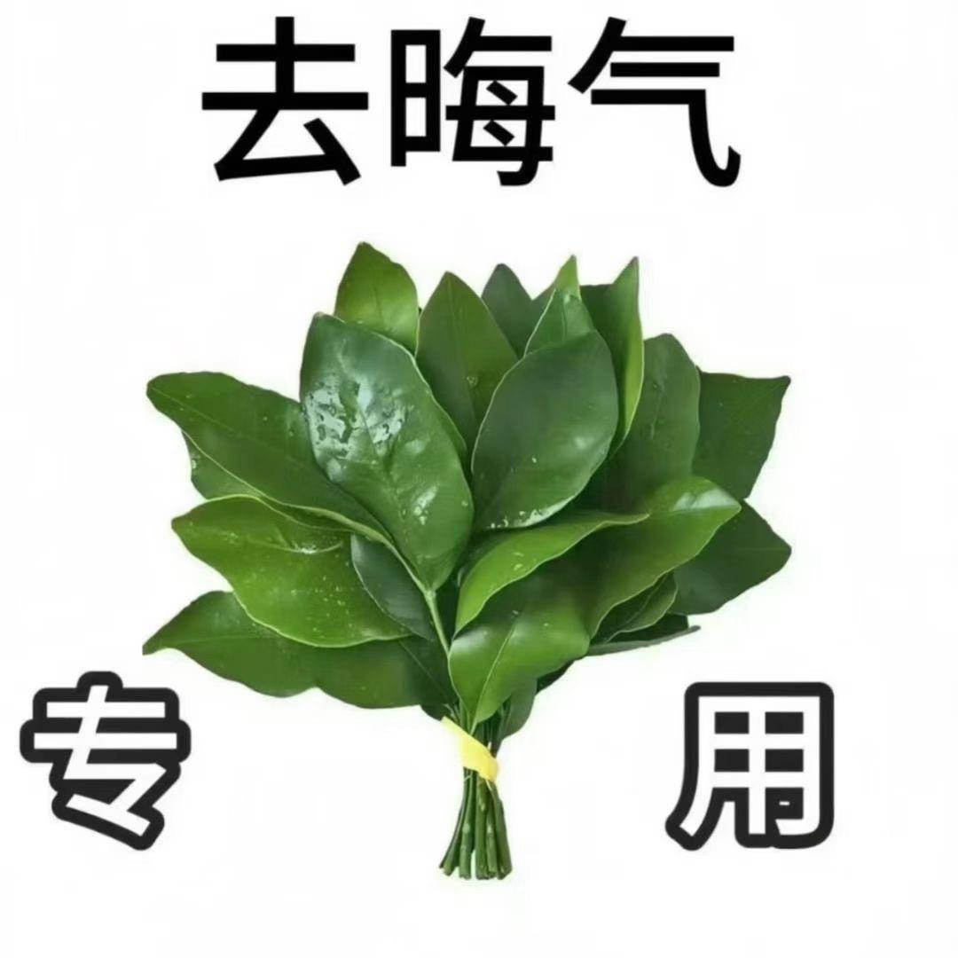 把爱藏在腚缝里