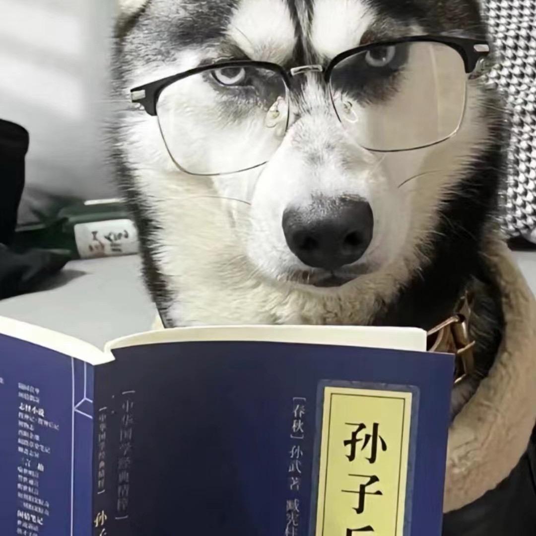 沸沸羊