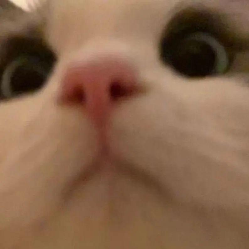 Lnmiy