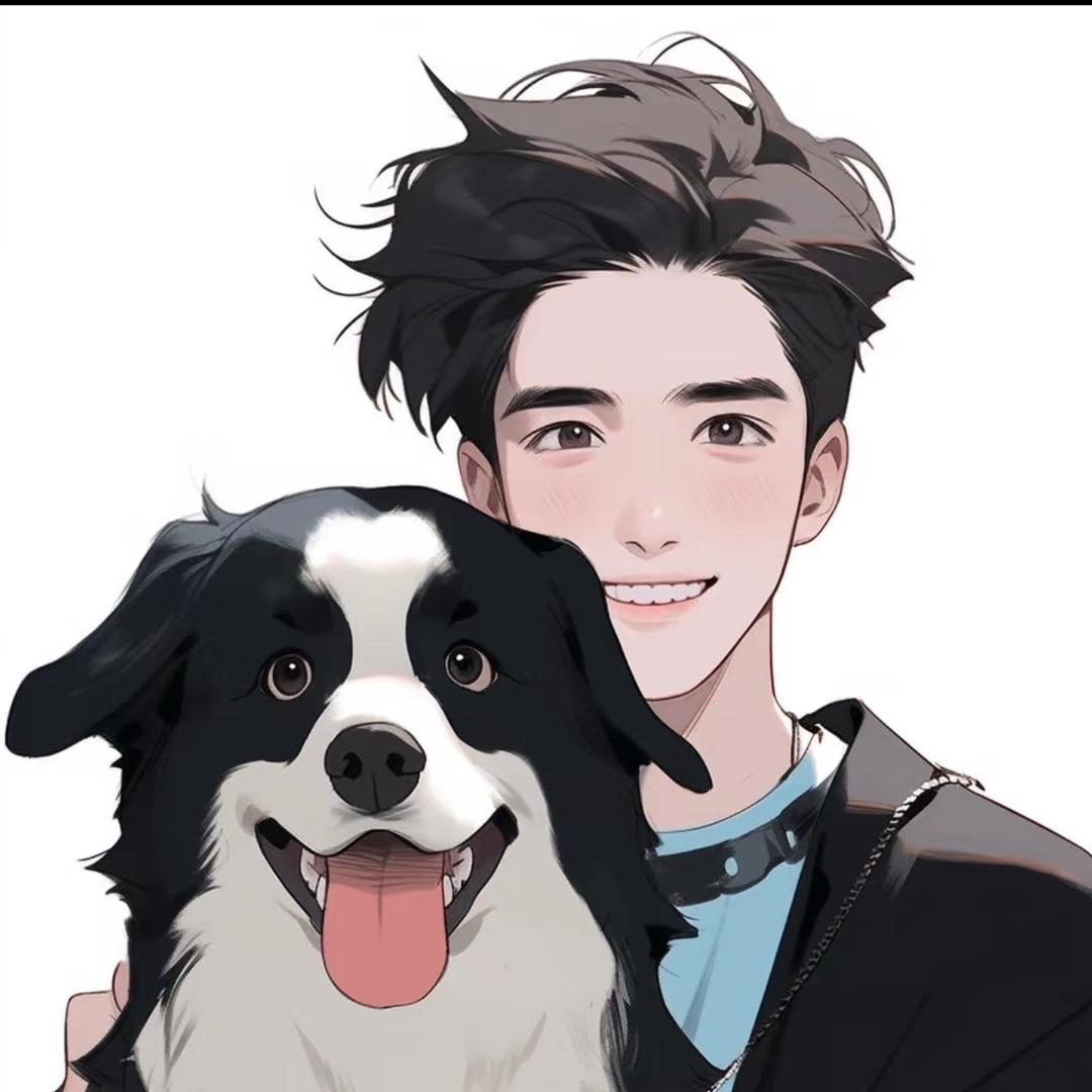 阿兴家边牧2号