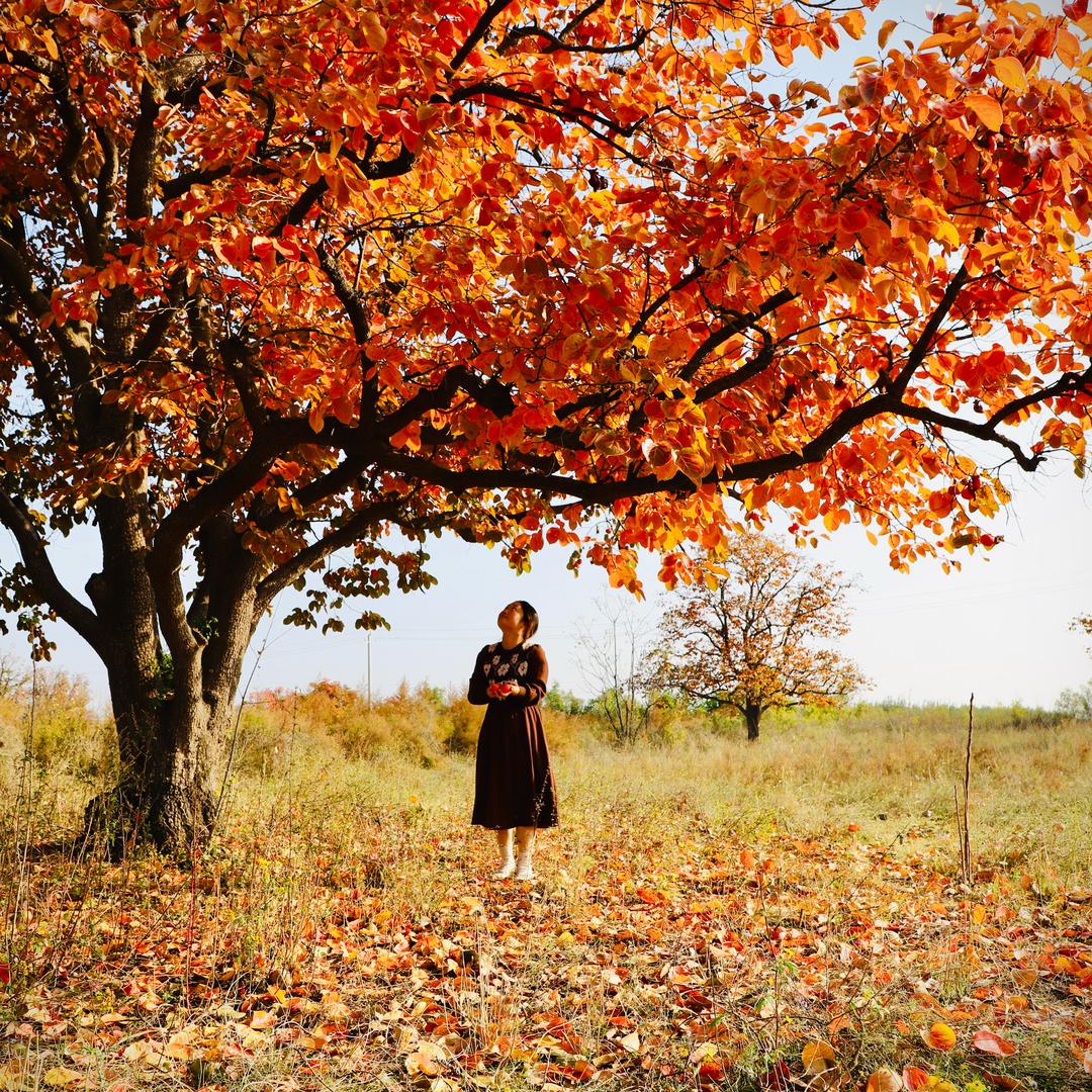 东东家的大宝贝