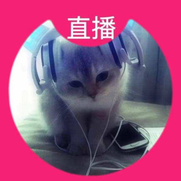 成都下暴雨