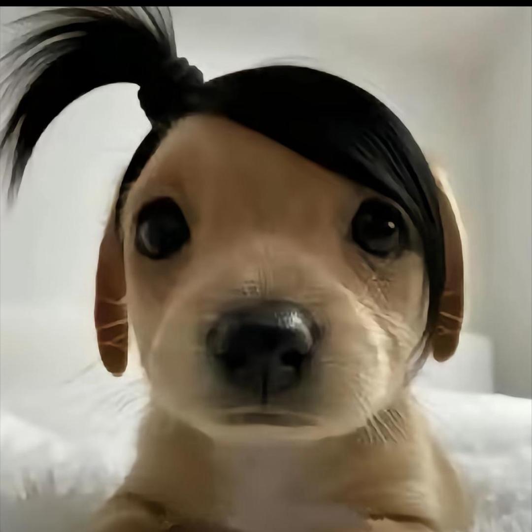 芋泥麻薯肉松小贝