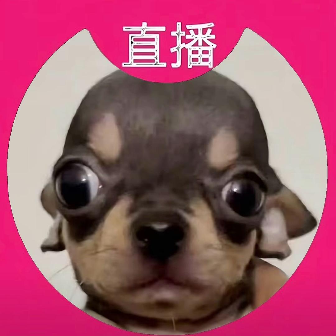 西红柿番茄