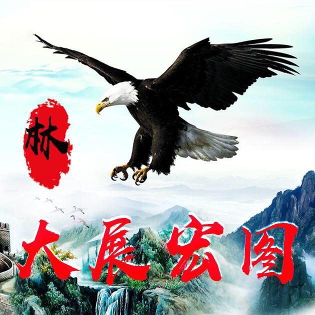 天网